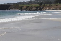 IMG_8128